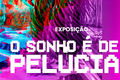 Exposição 'O Sonho é de Pelúcia' abre temporada na Casa da Cultura de Viçosa