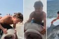 'Trend' leva pessoas a puxar tubarões para a praia para fotos e preocupa prefeito nos EUA