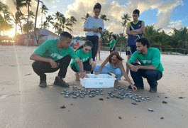 VÍDEO: 85 filhotes de tartaruga-oliva são soltos no mar da Praia de Guaxuma, em Maceió