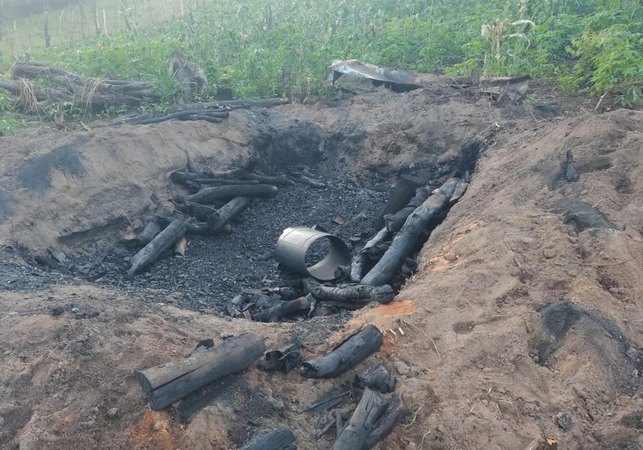 Operação Protetor dos Biomas intensifica combate a crimes ambientais em Alagoas