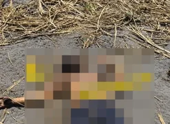 Após ser retirado de casa, homem é encontrado morto em canavial na parte alta de Maceió