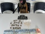 Cão farejador encontra drogas em área de mata e suspeito de 19 anos é preso, em Arapiraca