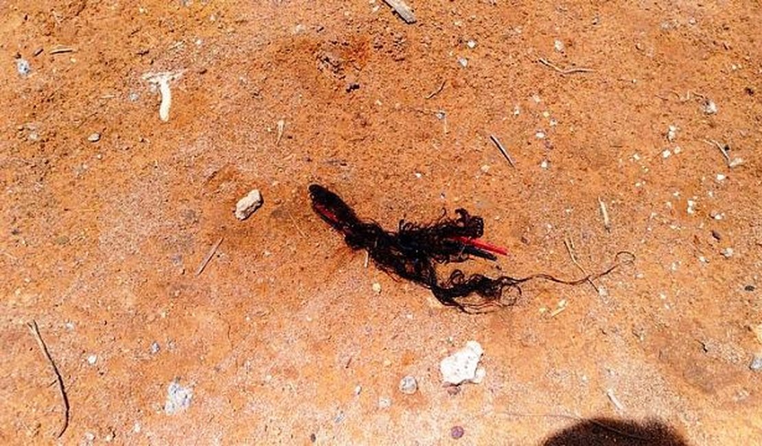 Cabeça de uma pessoa ainda sem identificação de sexo é encontrada em Rio Largo