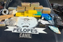 Pelopes apreende mais de 35 kg de drogas e 14 munições durante operação na AL-110