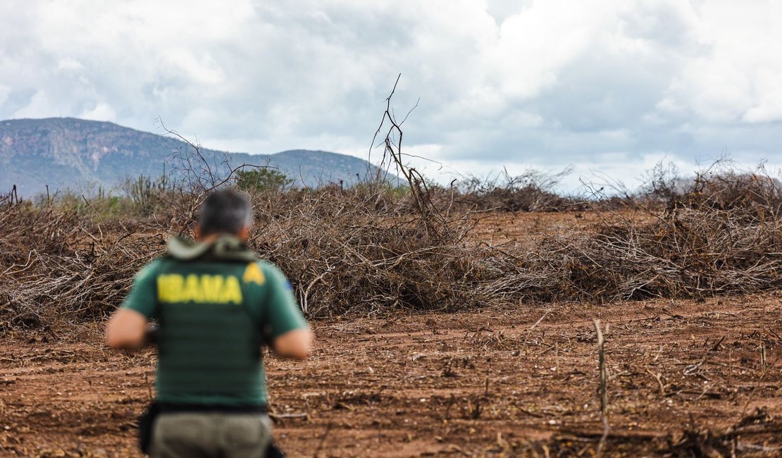 Fiscalização embarga 40 áreas na Caatinga alagoana em dez dias
