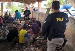 Mais de 80 pessoas são resgatadas de trabalho análogo à escravidão em Feira Grande