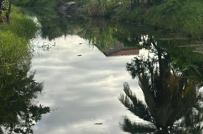 Polícia Civil investiga morte de peixes no Rio Maceiozinho, na Barra de São Miguel