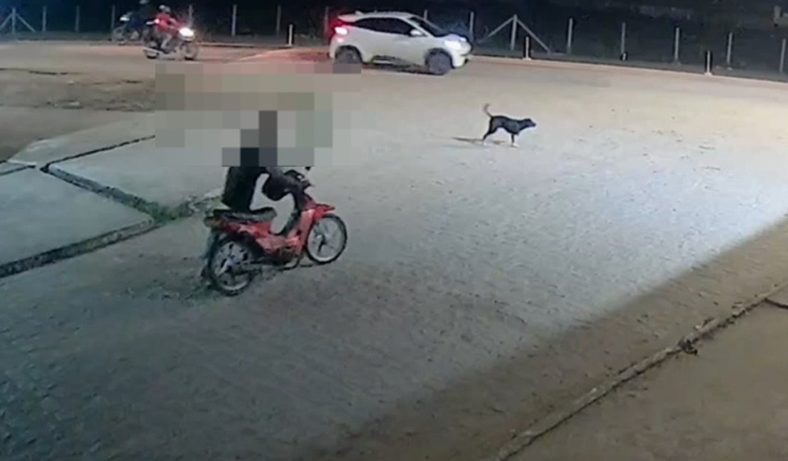 Homem é flagrado com cinquentinha furtada em imagens de câmeras de monitoramento, em Arapiraca