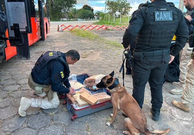 Passageiro de ônibus interestadual é preso com 31,4 kg de maconha na BR-101 em São Sebastião