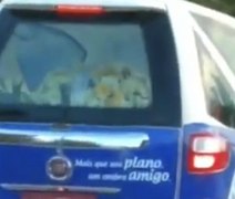 Cantores e influenciadores causam aglomeração e debocham de pandemia no dia que Arapiraca registra 12 óbitos