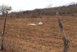 Um dia após aniversário, idoso é assassinado a tiros na zona rural de Craíbas