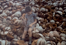 Curta-metragem alagoano é selecionado para mostra competitiva do Festival de Cinema de Gramado
