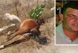 Uma pessoa morre e outra fica ferida em acidente com animal em Maravilha
