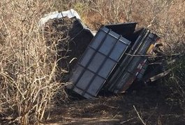 Motorista pula do caminhão após perceber falha mecânica, em Palmeira dos Índios