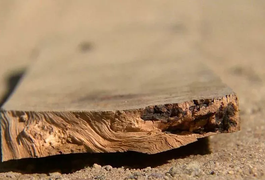Assaltante invade casa para roubar e é morto a madeiradas pelo proprietário em Maceió