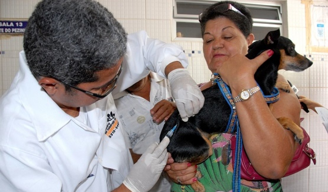 Sesau e municípios iniciam campanha de vacinação antirrábica na segunda