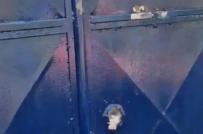 Escola indígena é alvo de tiros em Palmeira dos Índios em meio a tensão sobre demarcação das terras Xukuru-Kariri