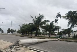 Veículo derruba poste e pista é interditada no bairro de Jaraguá