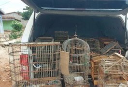 BPA realiza fiscalização ambiental na capital e no interior de Alagoas