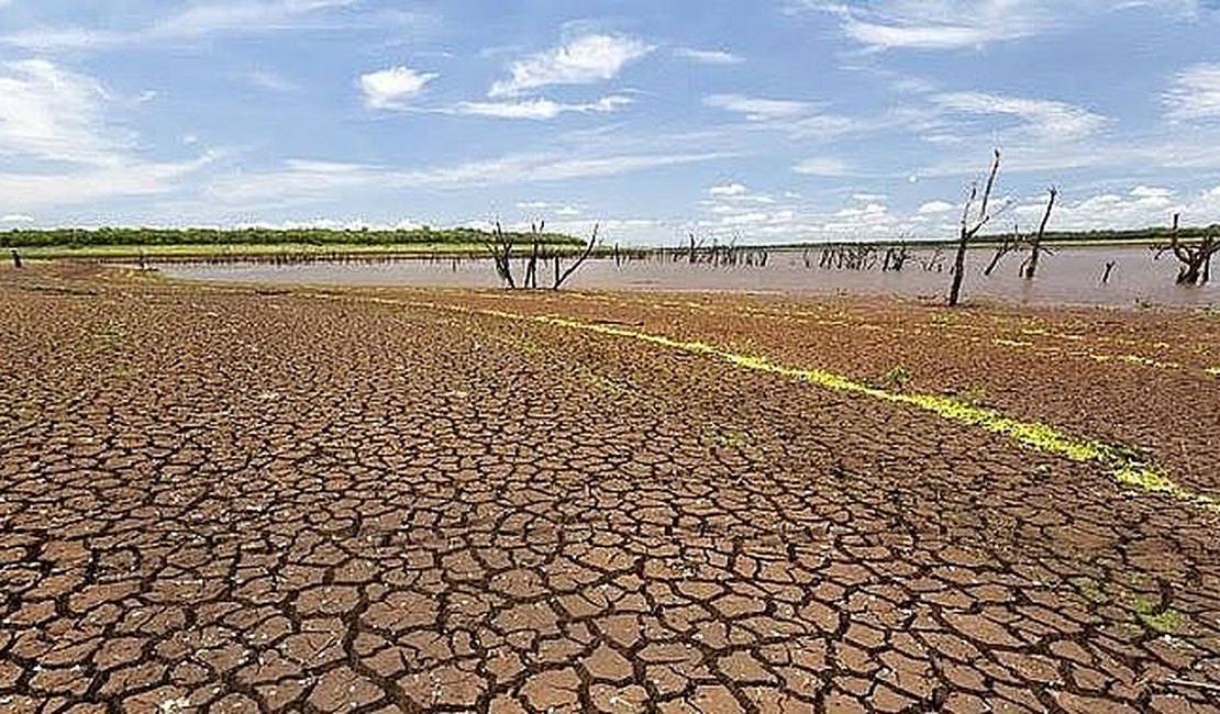 Enfrentando estiagem, Arapiraca e outros 37 municípios alagoanos tem situação de emergência reconhecida