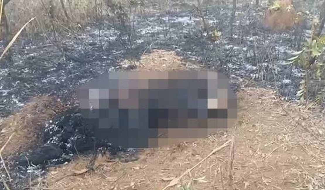 Com histórico de envolvimento com drogas, montador de móveis tem corpo carbonizado no DF