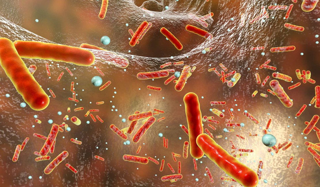 Cientistas alertam para nova cepa de superbactéria com risco global