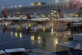 Passageiro salta de avião em movimento com um cachorro em Nova York