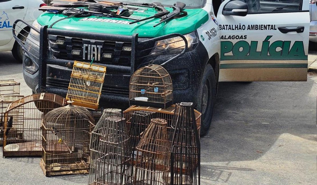 Polícia Militar apreende sete armas, armadilhas e aves silvestres em município alagoano
