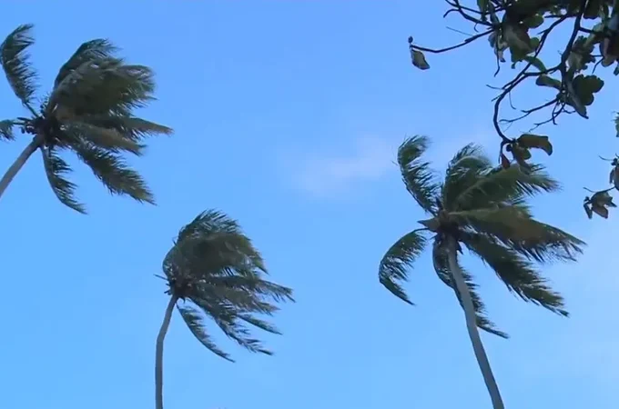 Semarh emite alerta por causa de fortes rajadas de vento que atingem Alagoas até sexta-feira