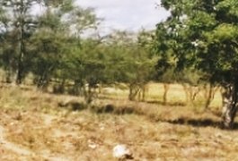 Corpo de adolescente com marcas de tiros é achado às margens da rodovia, em Igaci