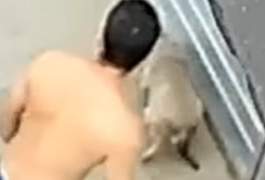 Polícia procura por homem que agrediu cachorro em Capela