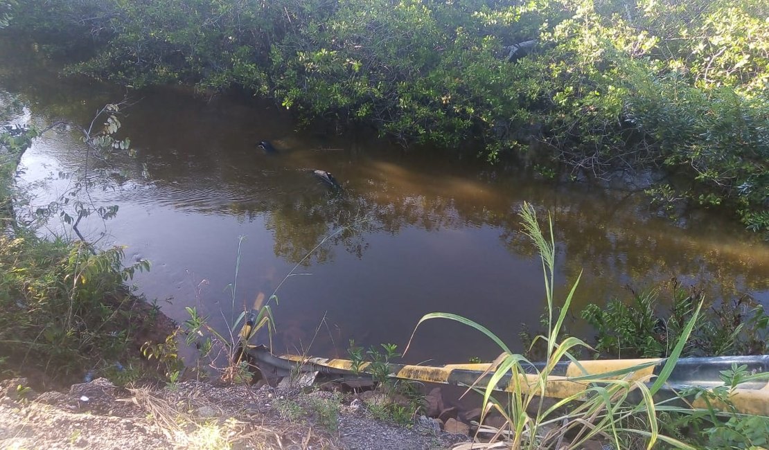 Motorista perde controle da direção e capota carro no litoral alagoano