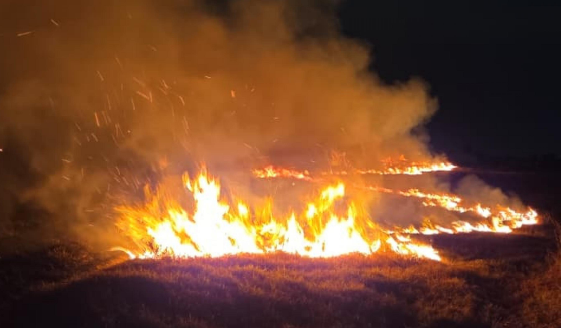 Corpo de Bombeiros registra 16 incêndios em vegetação em um único dia em Alagoas e faz alerta