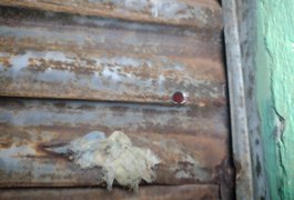 Residência é alvo de tiros e mulher se esconde embaixo da cama para não ser baleada, em Arapiraca