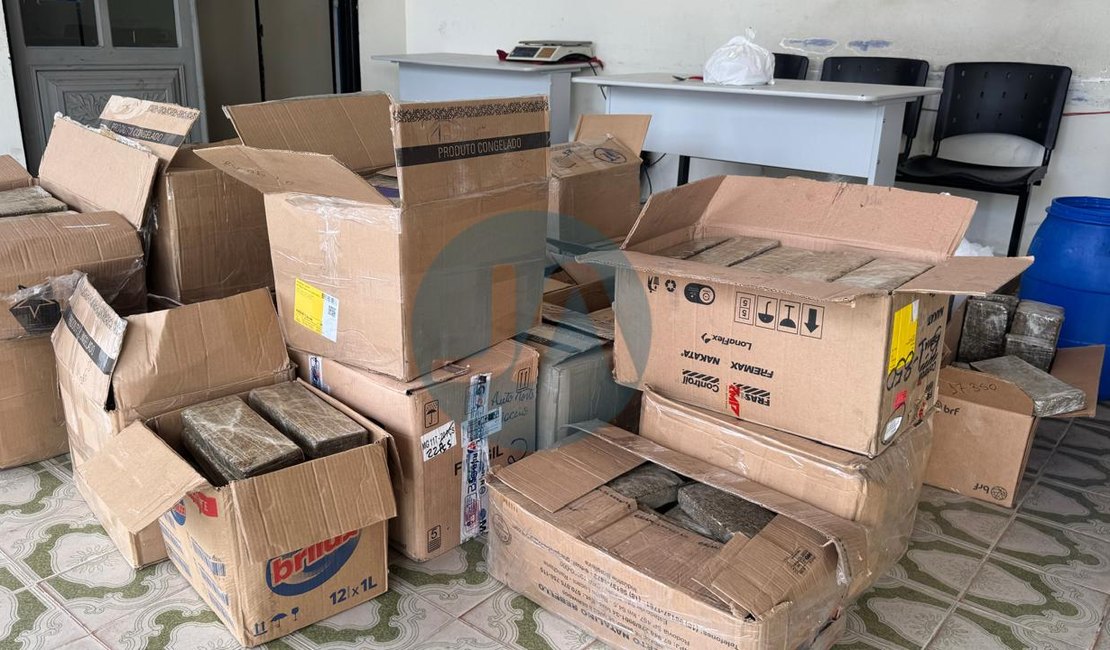 Cerca de 400kg de maconha são apreendidos em chácara às margens da AL-220, em Arapiraca