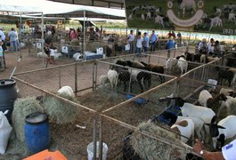 Lançamento da 4ª Exposição de Caprinos e Ovinos ocorre na quarta