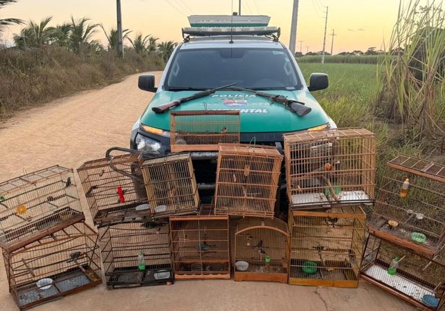 PM-AL apreende duas armas de fogo e resgata 59 animais silvestres em ações de fiscalização