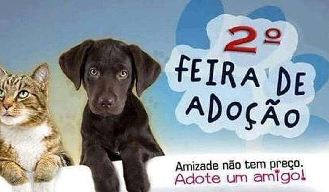 Grupo de amigas realiza 2ª feira de adoção de animais em Arapiraca