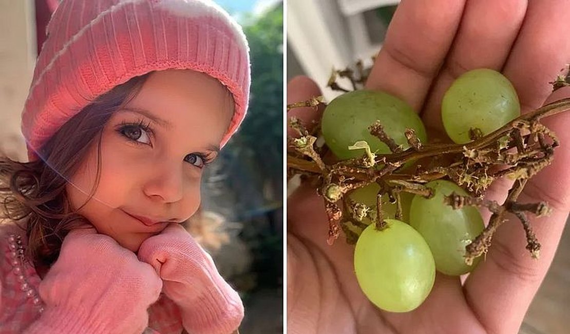 Criança de apenas 3 anos morre após se engasgar com uva