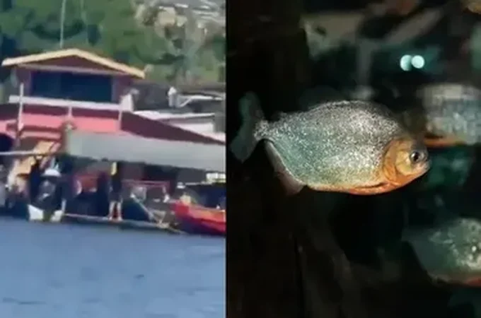 Homem é devorado por piranhas após se afogar em rio no Dia das Mães