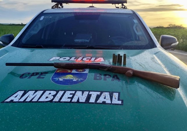 PM-AL apreende arma, aves silvestres e redes de pesca predatória no interior de Alagoas