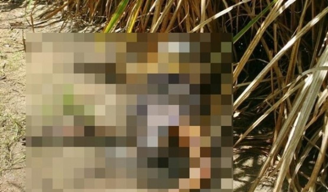 Corpo de mulher em estado de decomposição é encontrado em São Miguel dos Campos