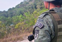 Operação da PM apreende 60 aves silvestres em feiras livres de Maceió e Rio Largo