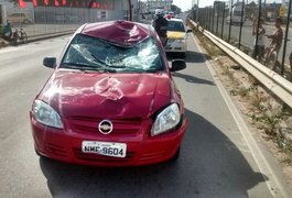 Acidente de trânsito na AL 220 deixa ciclista gravemente ferido em Arapiraca