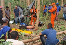Árvore de eucalipto cai e trabalhador fica ferido no interior de Alagoas