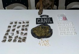 Com apoio de cão farejador, policiais militares apreendem diversos tipos de drogas no Conjunto Frei Damião