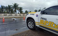 Acidente fatal na AL 220, em Limoeiro de Anadia