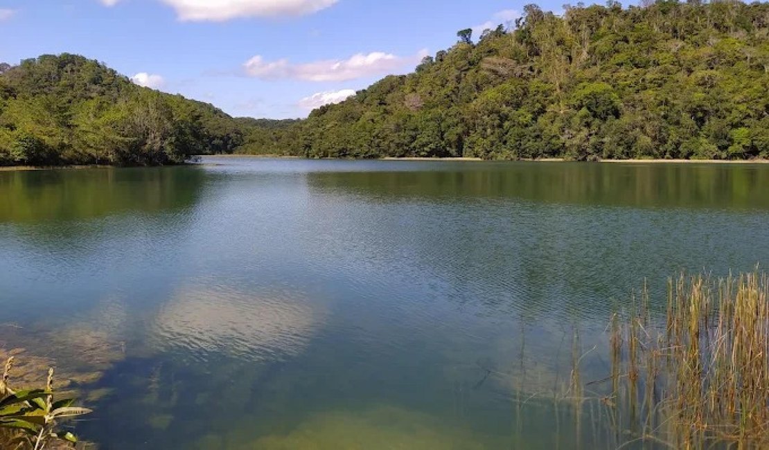 APA do Catolé sofre invasões, e Casal emite alerta ambiental