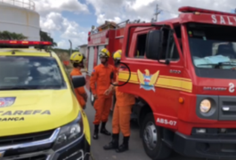 Ossada humana é encontrada em região de mata no município de Rio Largo