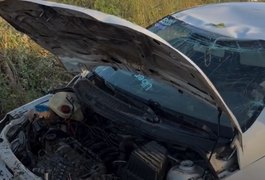 Motorista que retornava do Festival de Inverno de Água Branca capota carro na AL-145